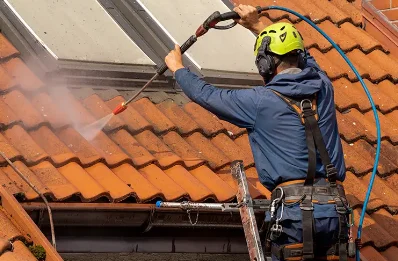 Démoussage et hydrofuge de toiture à Agudelle